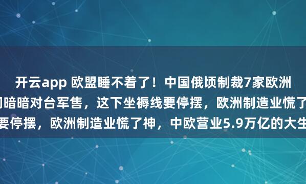 开云app 欧盟睡不着了！中国俄顷制裁7家欧洲军工企业，原因竟是它们暗暗对台军售，这下坐褥线要停摆，欧洲制造业慌了神，中欧营业5.9万亿的大生