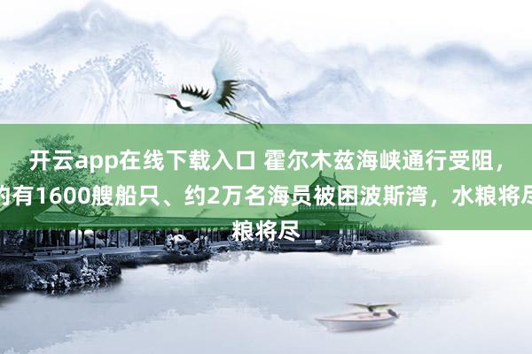 开云app在线下载入口 霍尔木兹海峡通行受阻，约有1600艘船只、约2万名海员被困波斯湾，水粮将尽