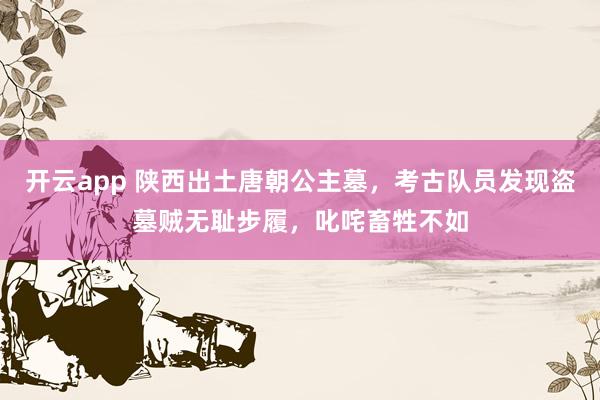 开云app 陕西出土唐朝公主墓，考古队员发现盗墓贼无耻步履，叱咤畜牲不如